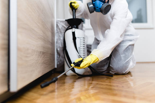 Best Wasp Removal Services  in Drumright, OK