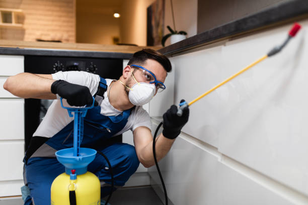 Best Commercial Pest Control Services  in Drumright, OK
