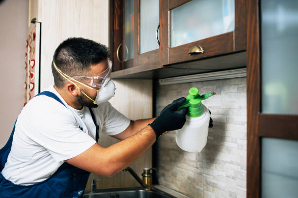  Drumright, OK Pest Control Pros