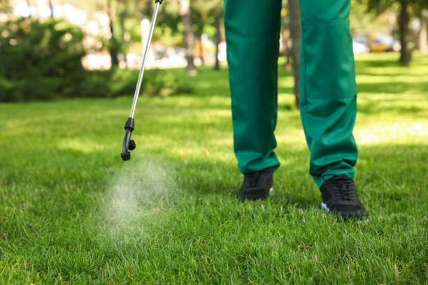 Best Emergency Pest Control  in Drumright, OK