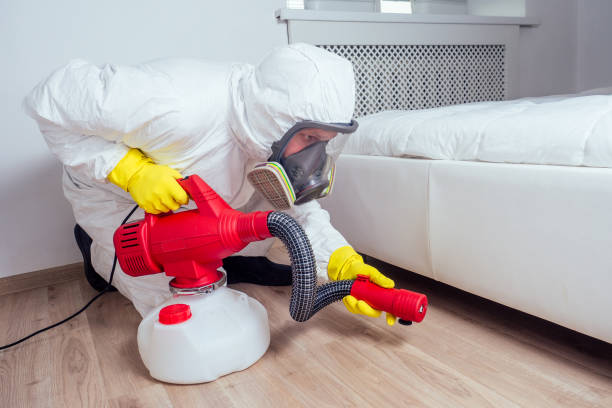 Best Rat Extermination Near Me  in Drumright, OK