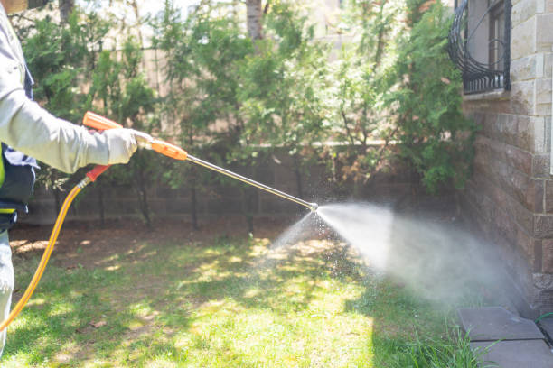 Best Local Pest Control Services  in Drumright, OK