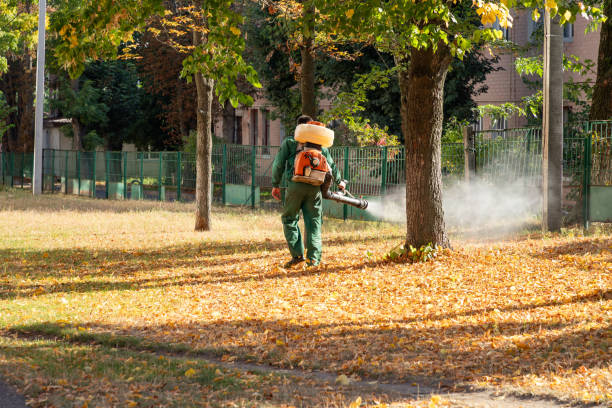 Best Mosquito Control Services  in Drumright, OK