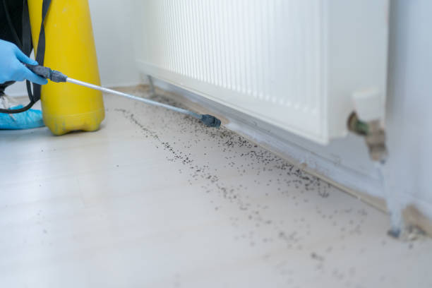 Drumright, OK Pest Control Company