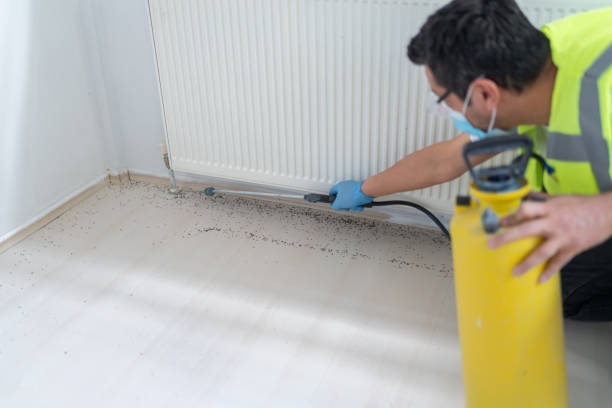 Best Affordable Pest Control Services  in Drumright, OK