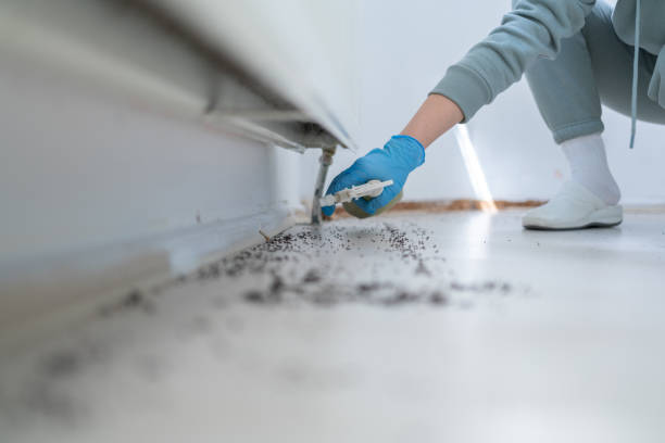 Best Pest Control Near Me  in Drumright, OK